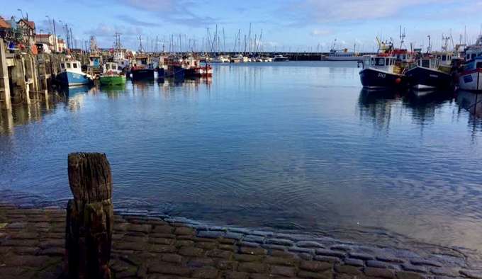 Fishing boats moored in a harbour on the coast of the North East of England